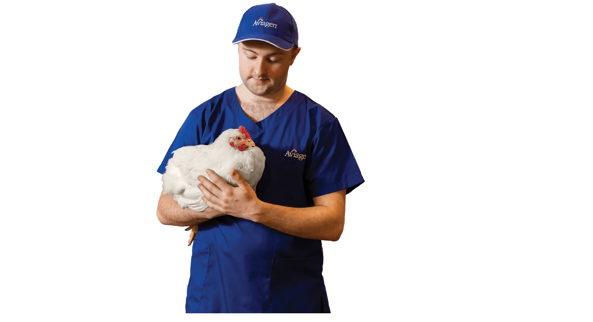 UK Ross and Aviagen Images