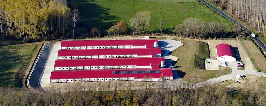 Aviagen KFT Hungary farm with red roofs and solar panels