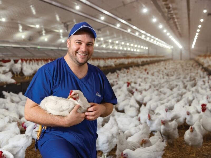 Healthy birds. Sustainable poultry. Protein for generations.