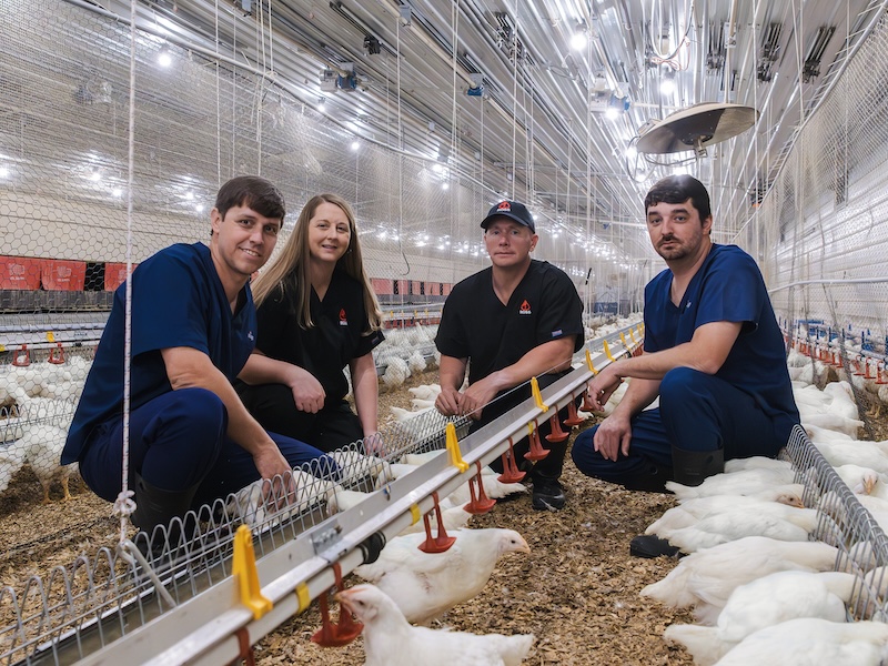 People power the poultry industry