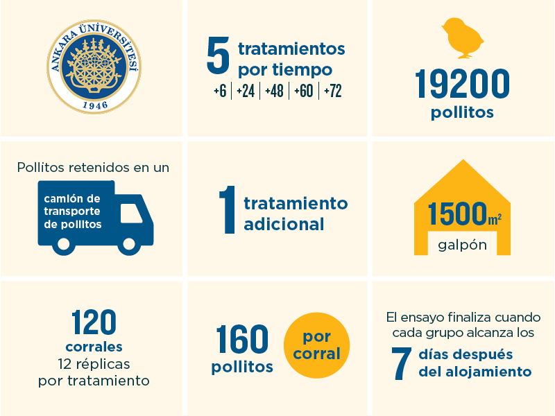 Lo que aprendimos de los ensayos de Ankara University