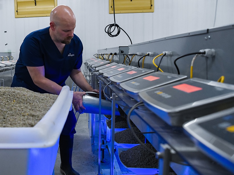 How balanced breeding and good management improve feed efficiency
