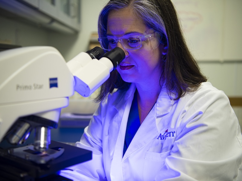 Poultry breeding – the science behind healthier, more sustainable chickens