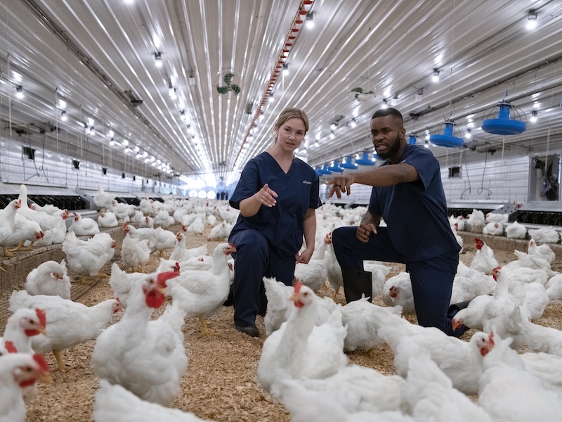 What if your career could help feed the world? changed