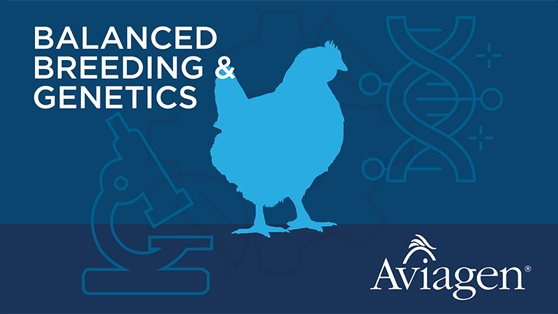 Genetic parameters of gait score in purebred broiler lines