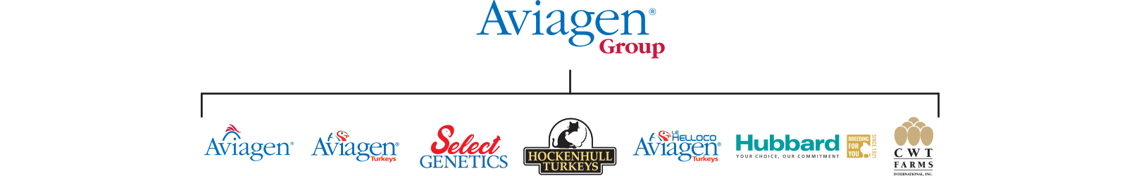 Aviagen Group Company Structure Logo Tree