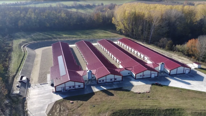 New Rearing Farm for Aviagen Kft Signals Growth, Success in Central and Eastern Europe