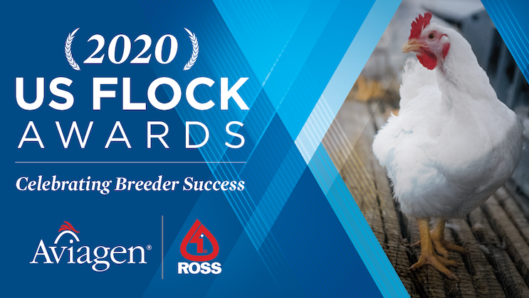 Aviagen North America Honors Star Breeder Performance with 2020 Flock Awards