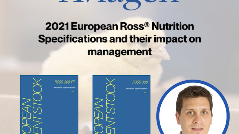 Aviagen Hosts Series of Webinars Across Europe to Roll Out New Parent Performance Objectives and Nutrition Specifications 
