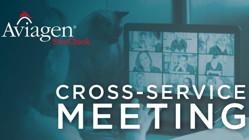 Aviagen SweChick Scandinavian customers come together for annual Cross-Service Veterinary Meeting