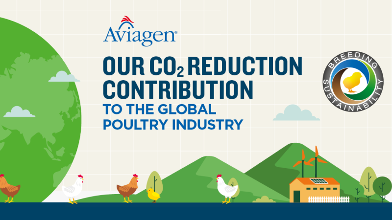 Sustentabilidade da reprodução — Aviagen demonstra contribuição para a redução de CO2 à avicultura global