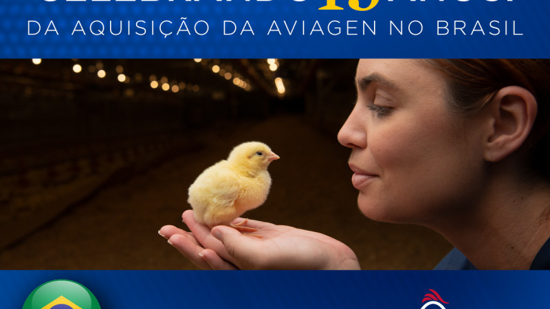Celebrando 15 anos da aquisição, Aviagen firma posição de destaque no mercado avícola brasileiro