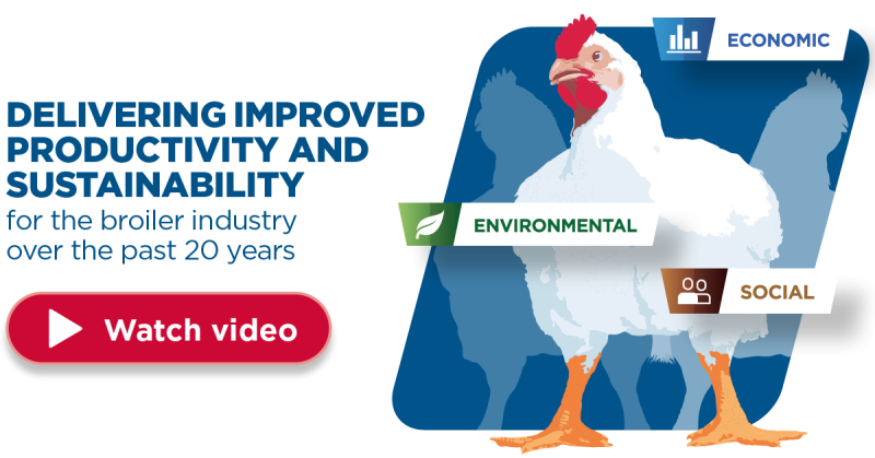 Aviagen Productivity and Sustainability video animation