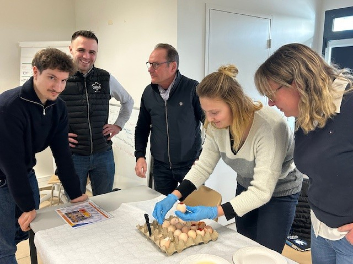 Aviagen France customers participate at hands-on Ross 308 workshops