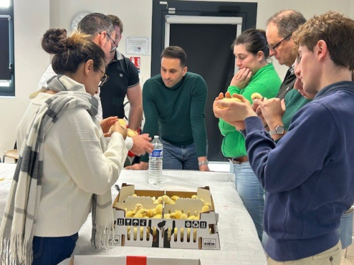 Workshop participants gently holding chicks