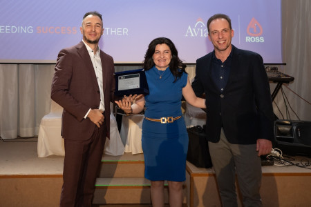 Stefanou Achilleas, Tzolou Olga, Thomas Paparounis