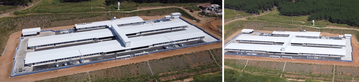 Aviagen investing and expanding the great grandparent (GGP) farm in Sarutaiá, Brazil 