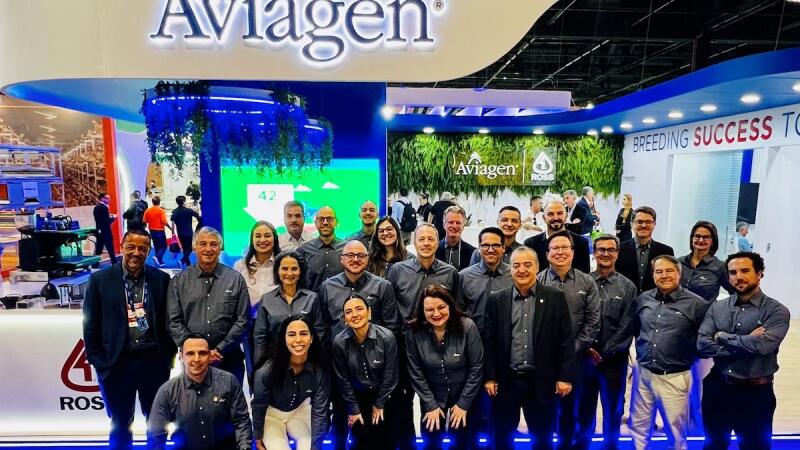 Aviagen destaca o Ross 308 AP e o compromisso com os clientes no SIAVS 2026