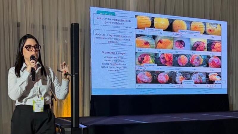 Especialistas da Aviagen compartilham conhecimentos sobre manejo de matrizes e incubatório no Simpósio FACTA