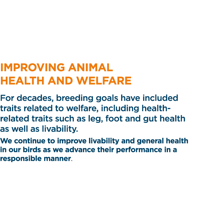 Improving animal health and welfare For decades, breeding goals have included traits related to welfare, including he   