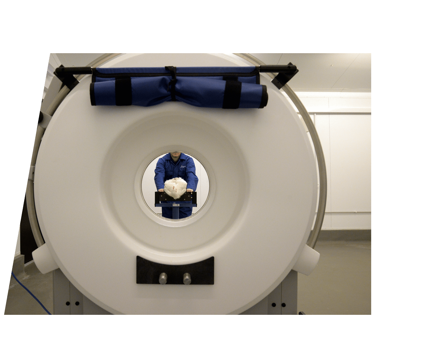 CT Scan White Birds Pedigree Grow Farm Scotland