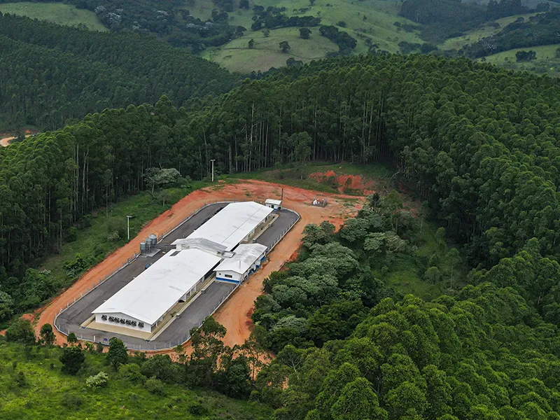 En Brasil