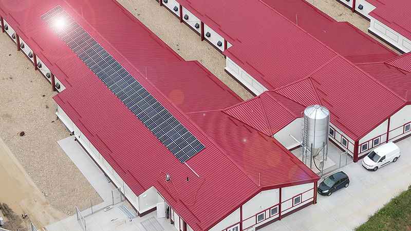 Breeding for a sustainable future: A glimpse at Aviagen’s 2023 Sustainability Report