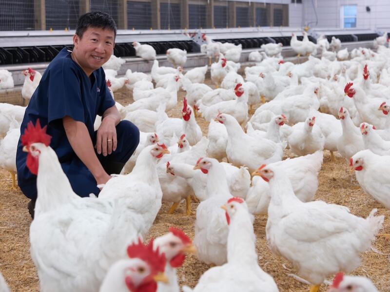 3. Chicken supports global food security