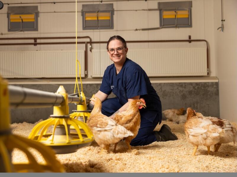 What is a Slower-Growing Chicken?