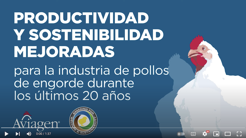 Productividad y Sostenibilidad para la Industria de Pollos de Engorde durante los últimos 20 años