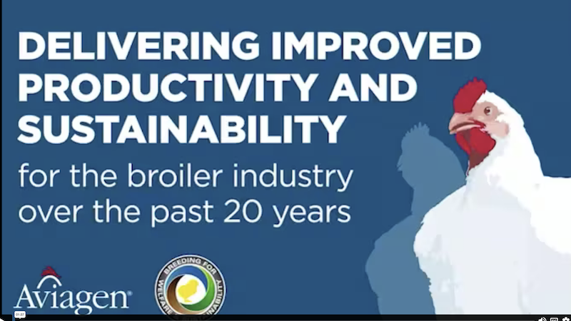 Delivering Improved Productivity and Sustainability for the Broiler Industry over the past 20 years