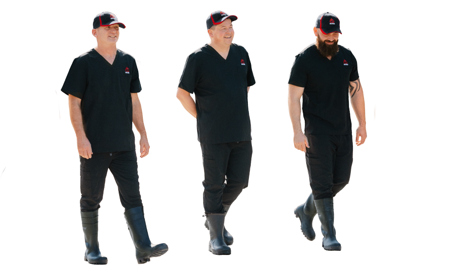 UK & Scandinavian Technical Team